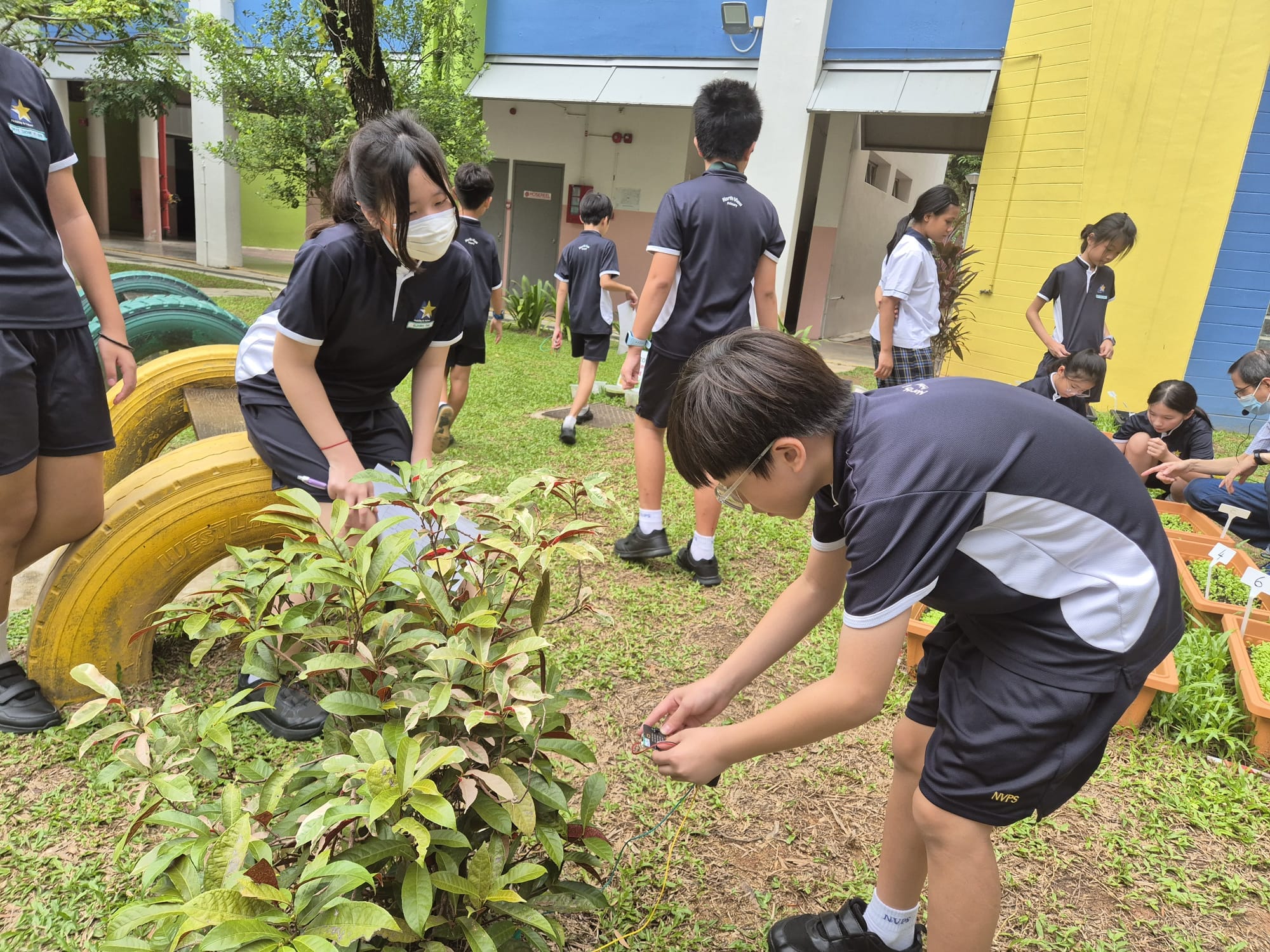Four students at the science garden doing some measurements on the plant